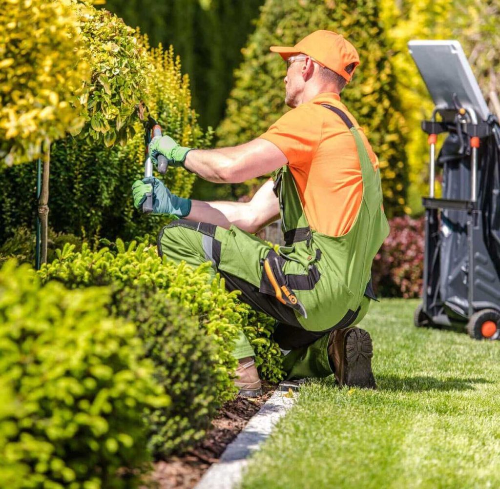 majestic tree care landscape maintenance